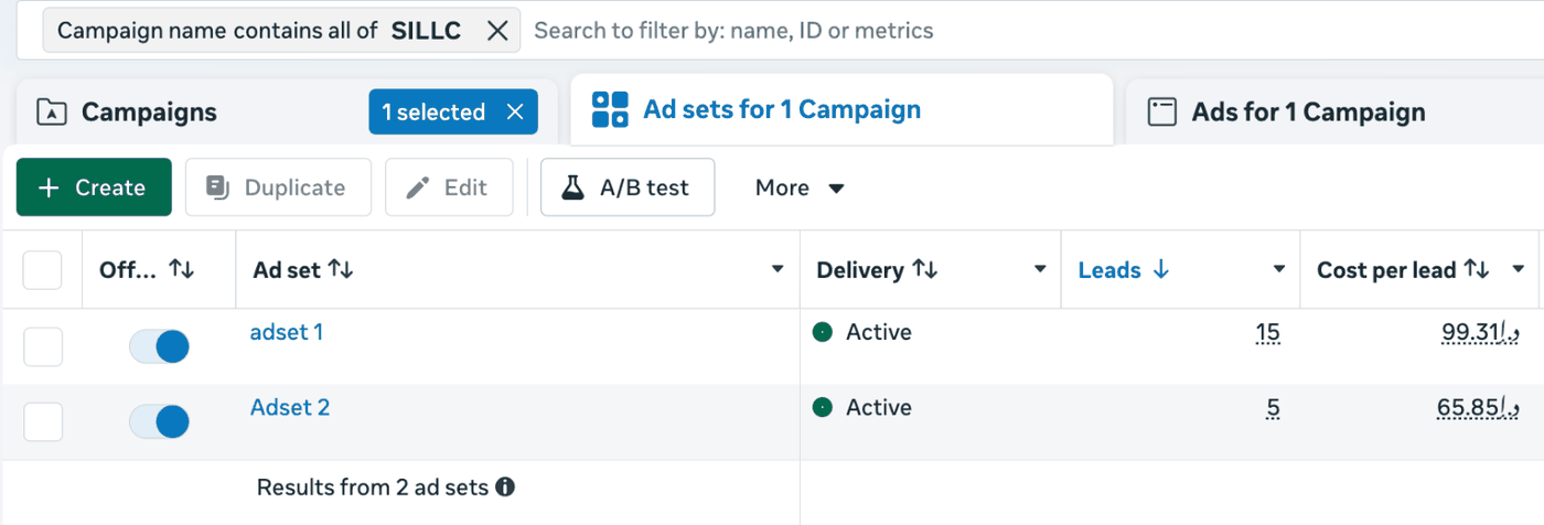 Meta Ads Manager screenshot of retargeting and new audience ad sets